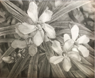 Isabelle Dougherty, Grade12, Grid Drawing, Graphite
Teacher: Cathy Bateman, Arts Academy at Benjamin Rush