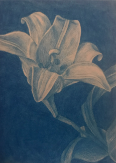 Isabelle Dougherty, Grade12, Study In Blue Colored Pencil
Teacher: Cathy Bateman, Arts Academy at Benjamin Rush