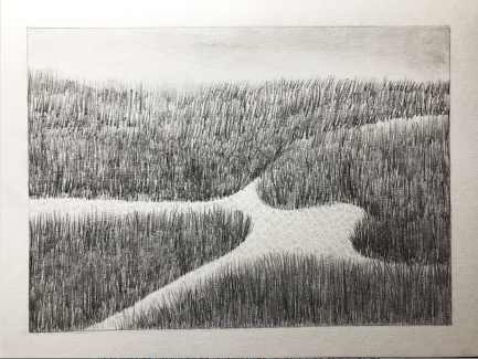 Kyleigh Sy, Grade10, Landscape Study, Graphite Composition
Teacher: Cathy Bateman,Arts Academy at Benjamin Rush