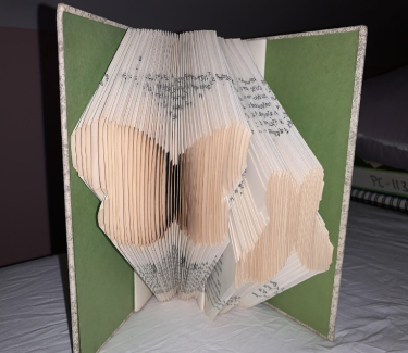 Daniela-Gonzalez-12-grade-_mariposas_-Book
Teacher: Dominic Doyle, Arts Academy at Benjamin Rush