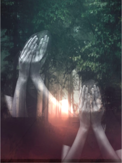 Jianna Johnson, Untitled, Digital Collage
Teacher: Patrick Bartal, Parkway West High School