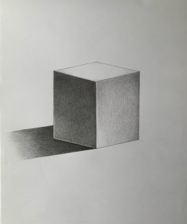 Victoria-Cao-12th-Box-Pencil
Teacher: Jose Sebourne, Northeast High School