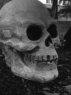 Anastiy-Feliciano-Grade12-Skull-Digital-Photograph
Teacher: Louis Mazza, Arts Academy at Benjamin Rush