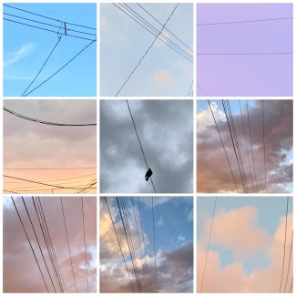 Careliz-Gonzalez-Rodriguez-Grade12-Typology-Digital-Photograph
Teacher: Louis Mazza, Arts Academy at Benjamin Rush