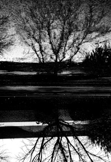 Naomi-Garced-Grade12-Dark-Mirror-Digital-Photograph
Teacher: Louis Mazza, Arts Academy at Benjamin Rush