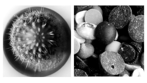 Nicole-Giraldo-Meneses-Grade12-Textures-Digital-Photographs
Teacher: Louis Mazza, Arts Academy at Benjamin Rush