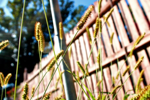 Viviana-Gray-Grade10-Worms-Eye-Digital-Photograph.jpeg
Teacher: Louis Mazza,Arts Academy at Benjamin Rush