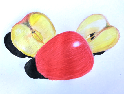 Beyonce-Berthold-12th-Study-of-Fruit-Colored-Pencil
Teacher: Mrs. Hahn, Philadelphia High School for Girls