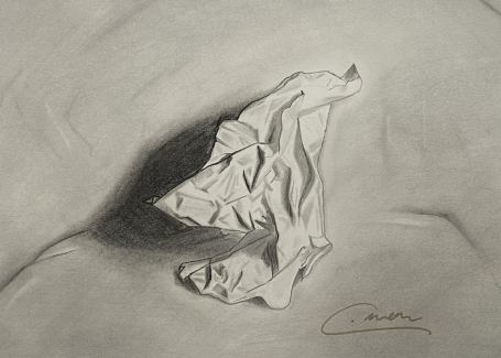 Christine-Mom-11th-Crumpled-Paper-Value-Study-Graphite
Teacher: Mrs. Hahn, Philadelphia High School for Girls