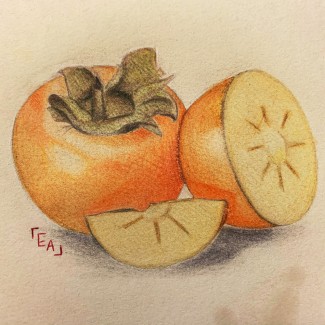 Emily-Chan-12th-Study-of-Persimmons-Colored-Pencil
Teacher: Mrs. Hahn, Philadelphia High School for Girls