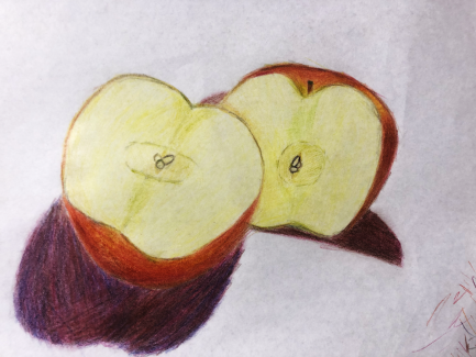 Sally-Zheng-12th-Study-of-Fruit-Colored-Pencil
Teacher: Mrs. Hahn, Philadelphia High School for Girls