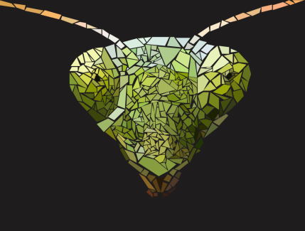 Jonathan Hernandez, 12, Graphic Design, Mantid
Teacher: Ms. Raynor, Northeast High School