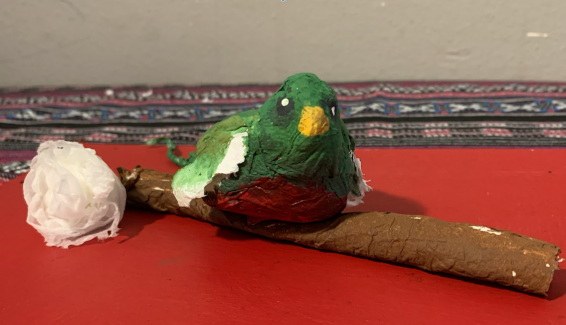 Natali Chacon, Grade 12, Bird, Toilet Paper
Teacher: Ms. Yim, Franklin Learning Center