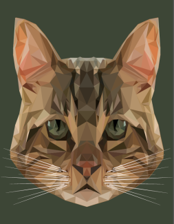 Sumya-Afrin_11_Lowpoly_Digital-Art
Teacher:Peter Kelsey, Central High School